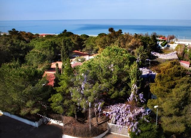 Villaggio La Pantera Rosa Scalea Luaran gambar