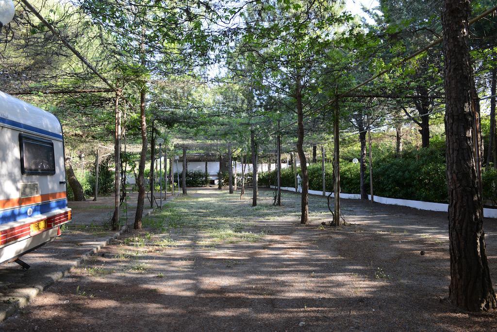 Villaggio La Pantera Rosa Scalea Luaran gambar